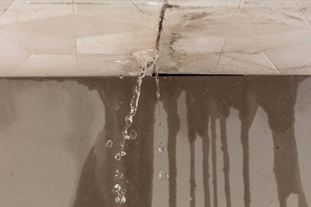 Professional Structural Drying technician working in Homeworth, OH
